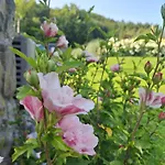 Le Clos Du Cerf - Silence & Nature