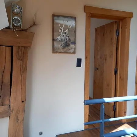 Le Clos Du Cerf - Silence & Nature Stoumont
