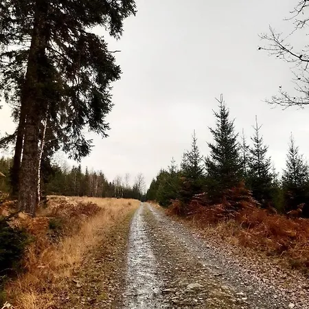 ベッド・アンド・ブレックファスト Le Clos Du Cerf - Silence & Nature ストゥモン