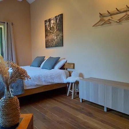 Bed & Breakfast Le Clos Du Cerf - Silence & Nature Stoumont
