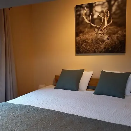 Le Clos Du Cerf - Silence & Nature Bed & Breakfast *