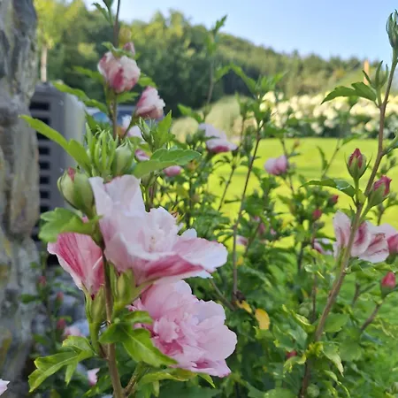 Le Clos Du Cerf - Silence & Nature